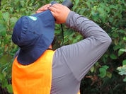 Inventário Florestal
